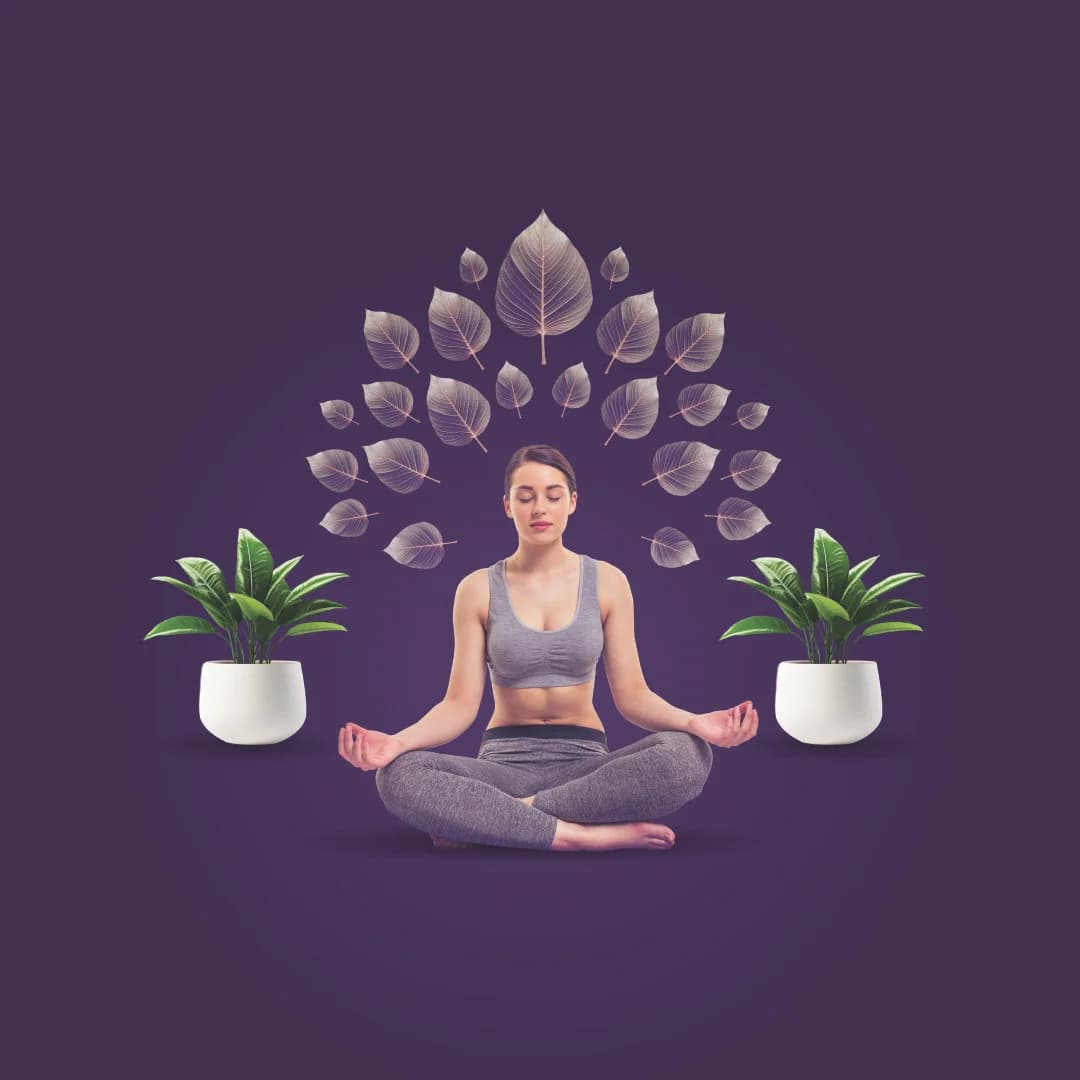 Kalpvruksha - Real Estate
